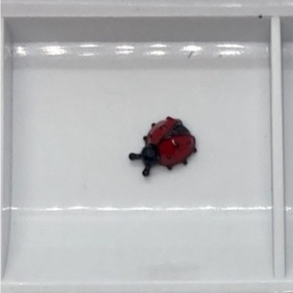 Custom Bundle x12 origami owl charms - Picture 11 of 12